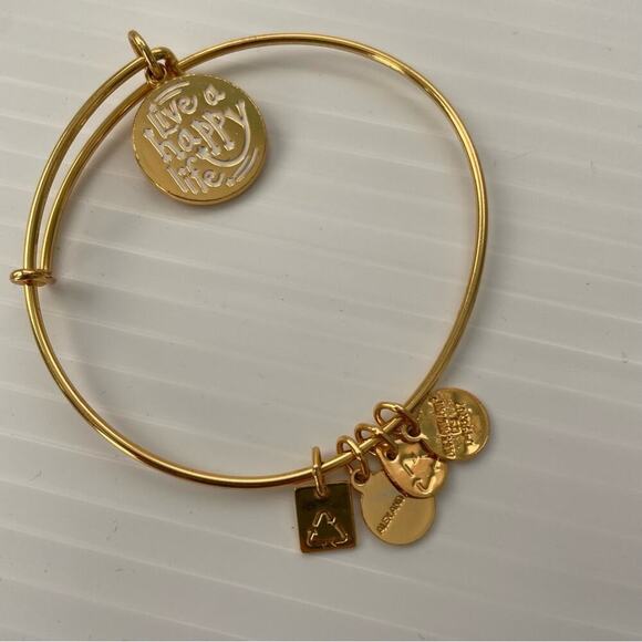 Alex and Ani Charity Design Live a Happy Life Shiny Gold Bangle Bracelet Women's - Picture 3 of 3